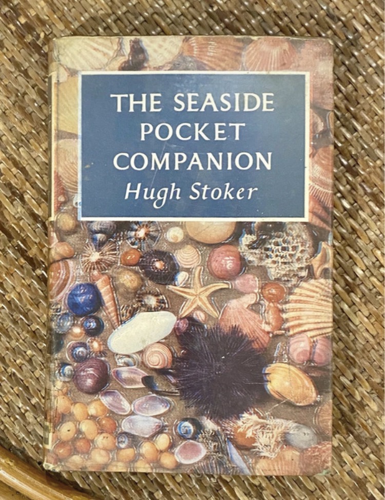 Lot 140: 1956 1st Edition Hardcover Book — The Seaside Pocket Companion by Hugh Stoker