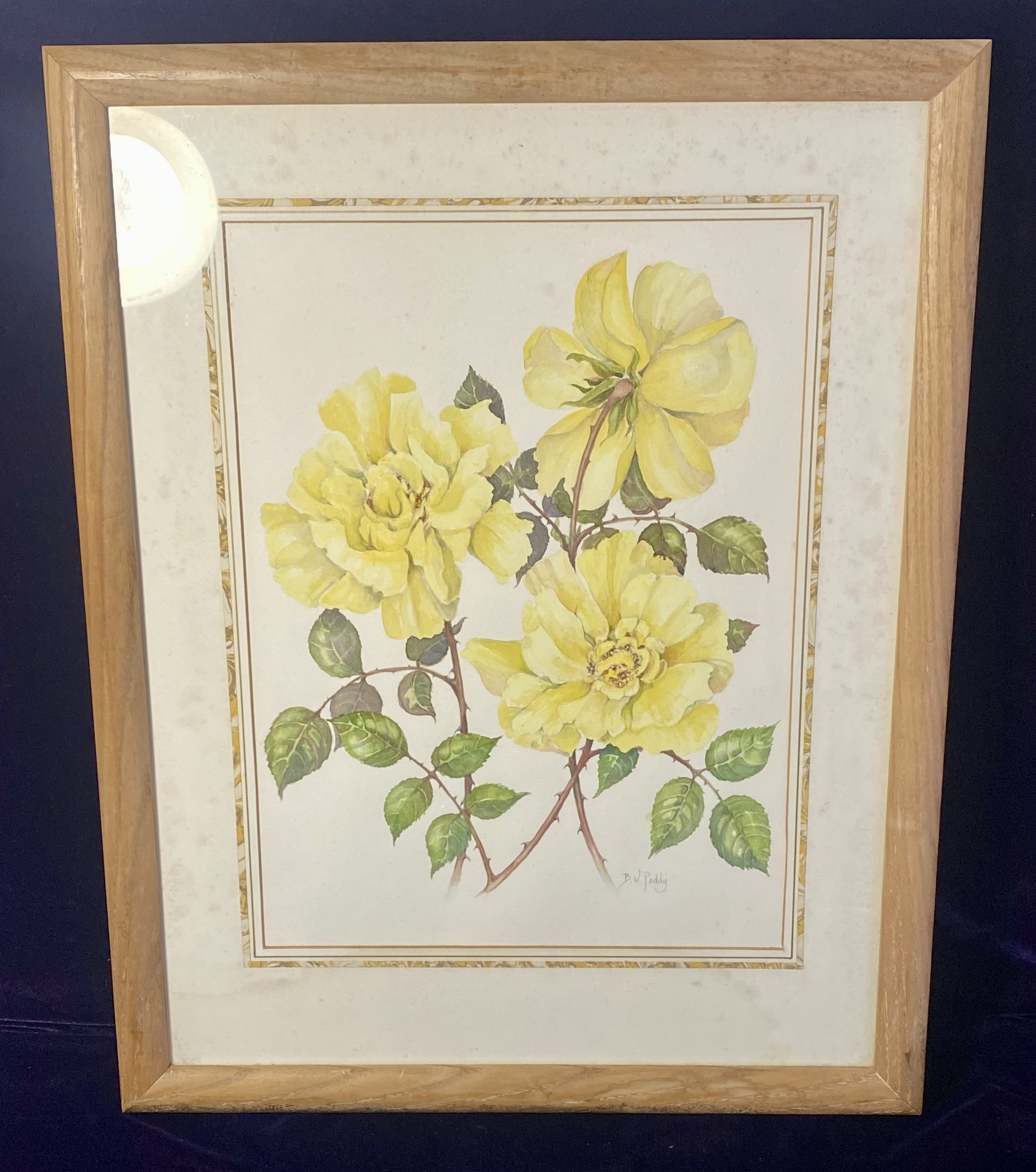 Lot 054: 1980s B.W. Paddy Watercolor Painting — 'Golden Showers' Rose