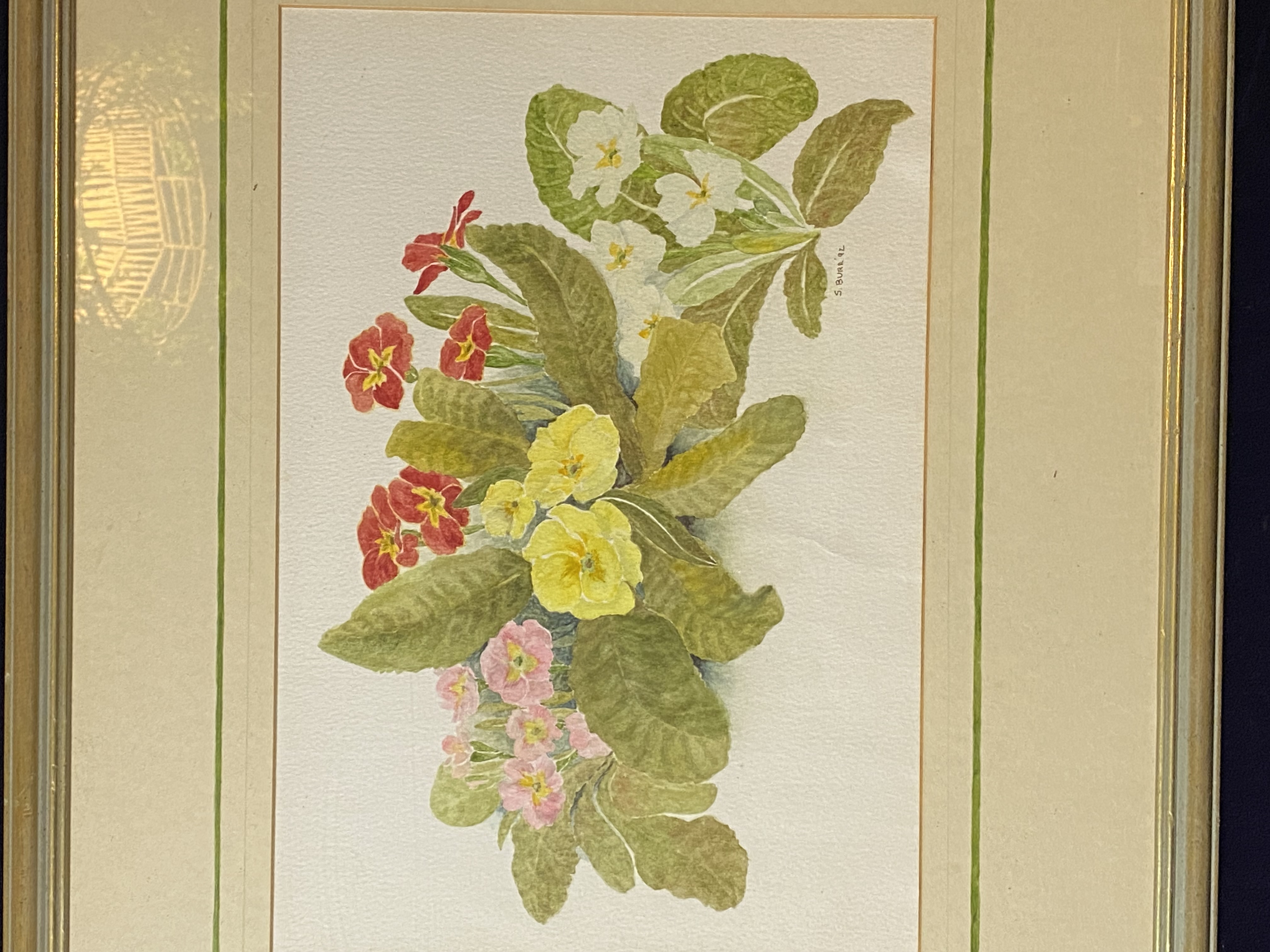 1992-shirley-burr-watercolor-painting-primroses-052-2