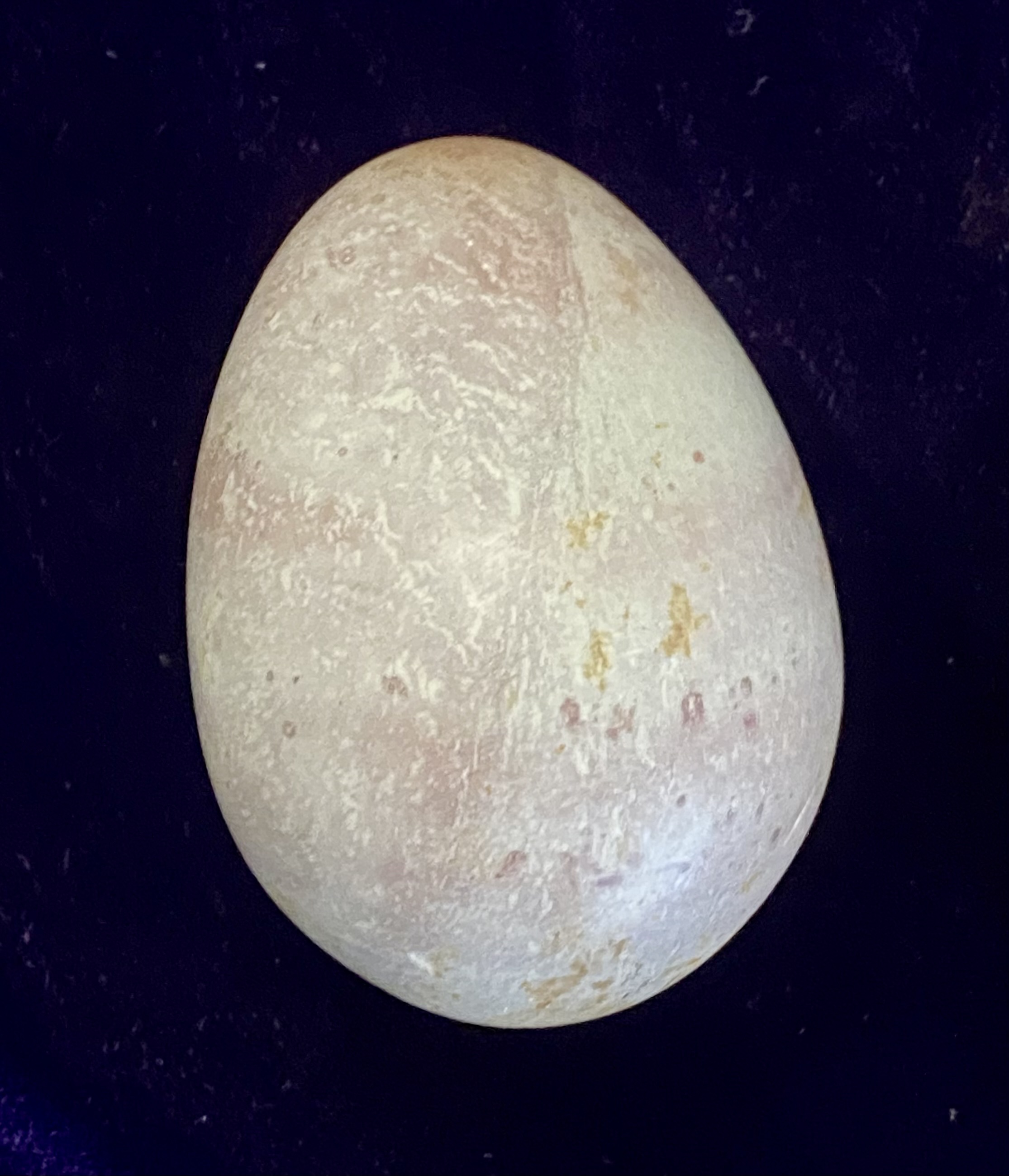 pair-of-decorative-eggs-marble-and-papier-m-ch-081-4