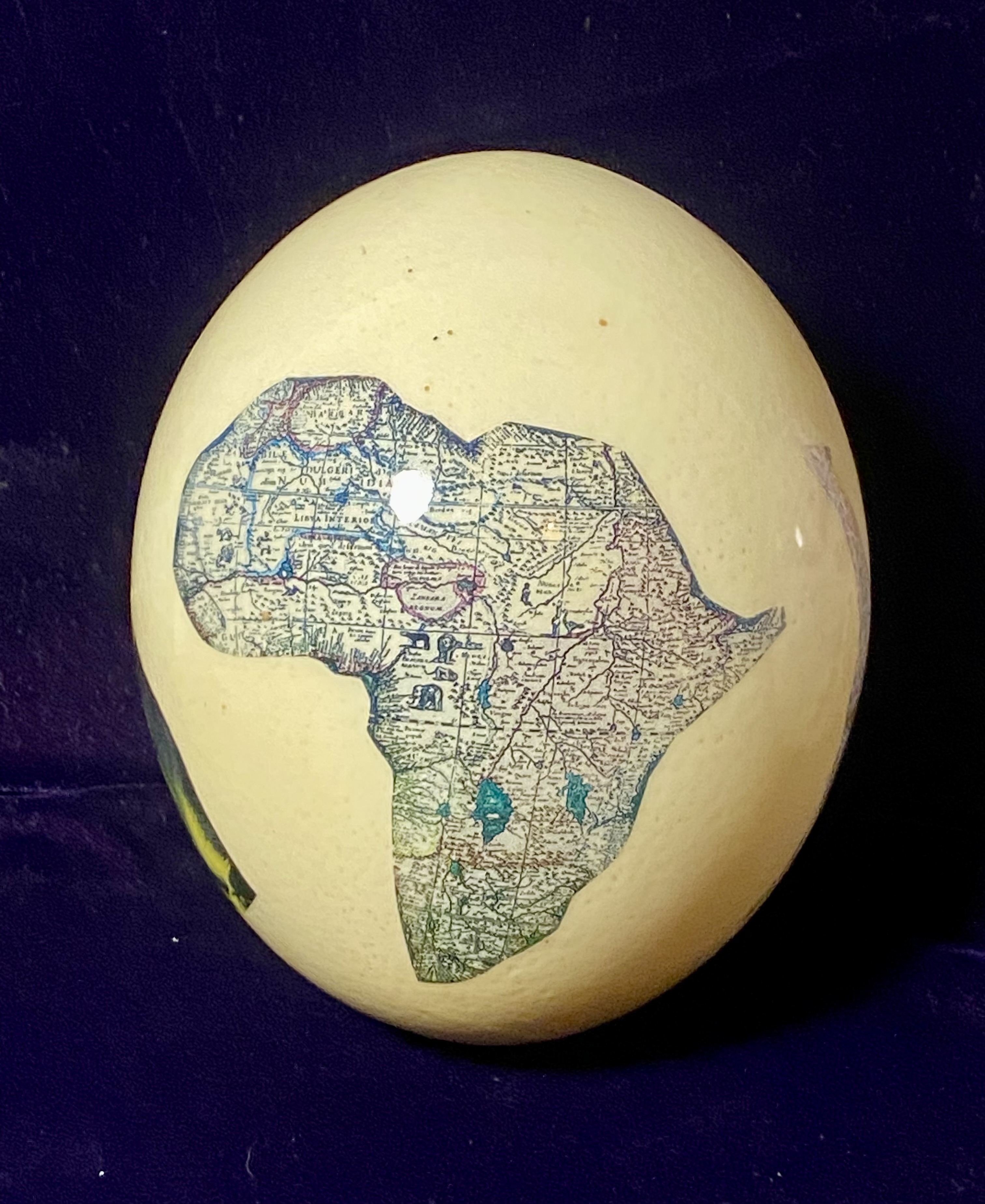 pair-of-vintage-decorated-ostrich-eggs-african-wildlife-theme-049-5