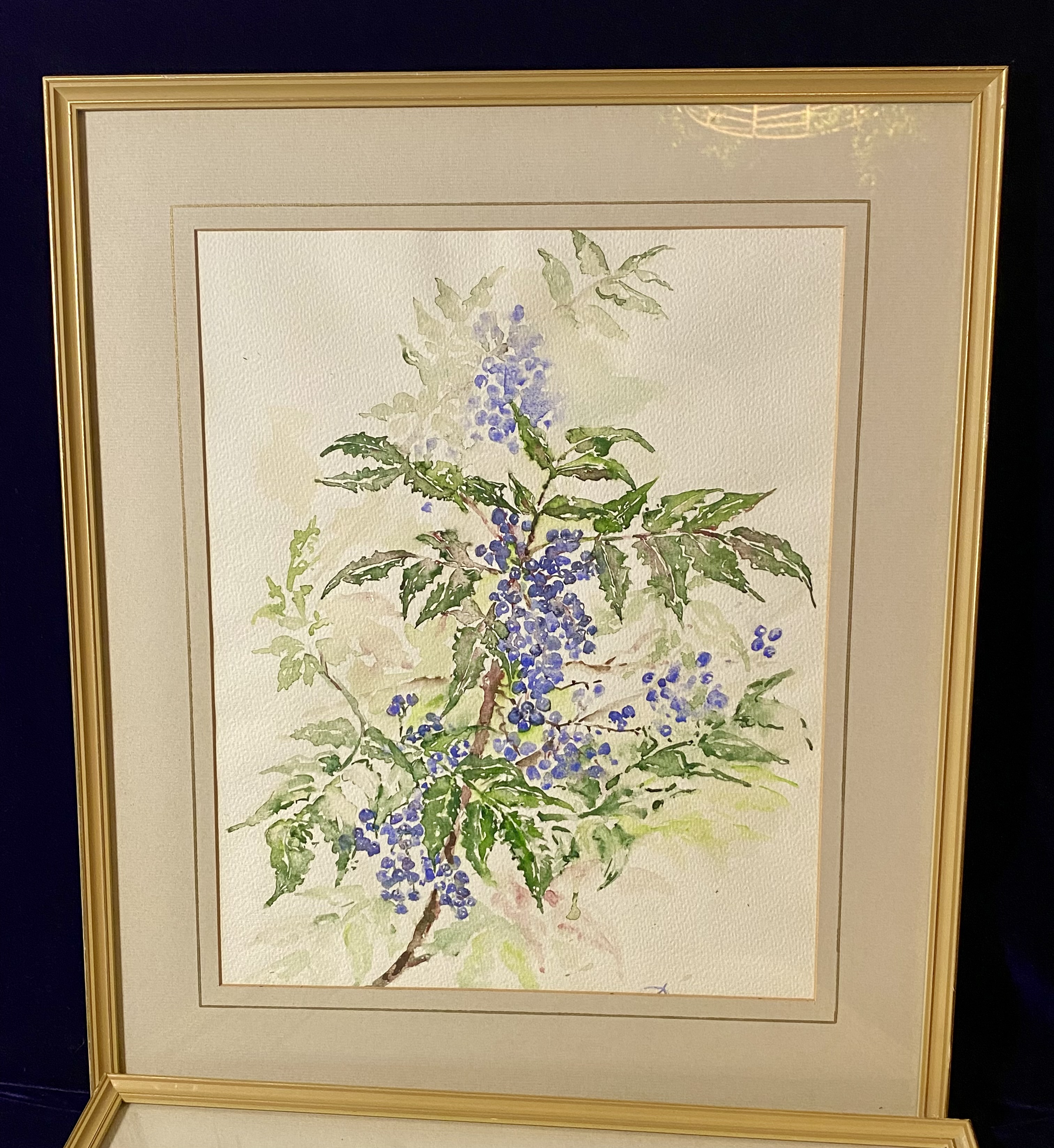 two-1997-monogrammed-dv-botanical-watercolors-blue-and-red-berries-053-393
